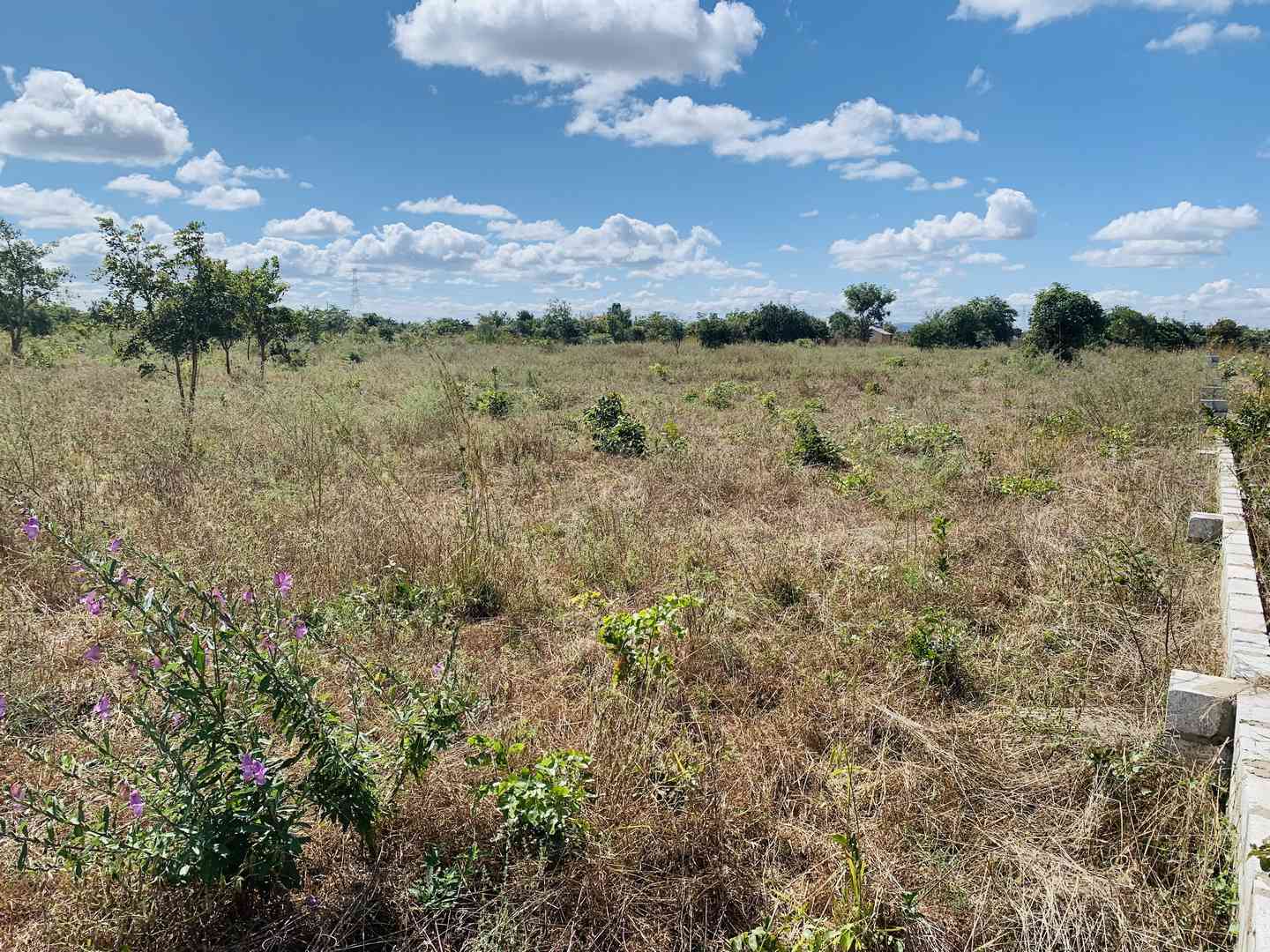 Property Thumbnail